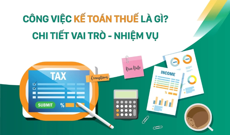 Kế toán thuế là gì? Mô tả công việc & vai trò trong doanh nghiệp